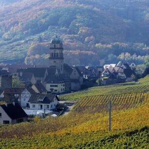 Kaysersberg, Radeln, entlang der Weinstraße