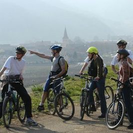 Radreise, Vignoble Alsascien, Fahrradfahrer, Erlebnisreise, Frankreich, Elsass
