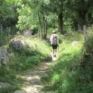 Wanderreise Frankreich, Cevennen, Stevenson